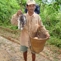 A farmer in the Chittagong region working in the field, possibly related to agricultural practices.